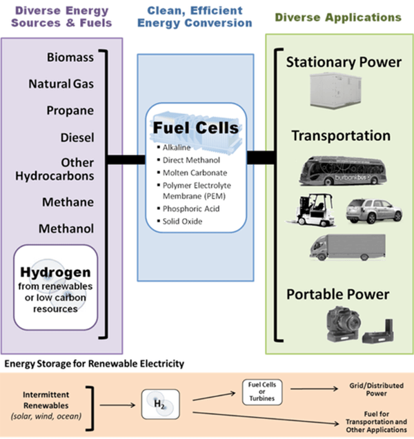 Program Focus